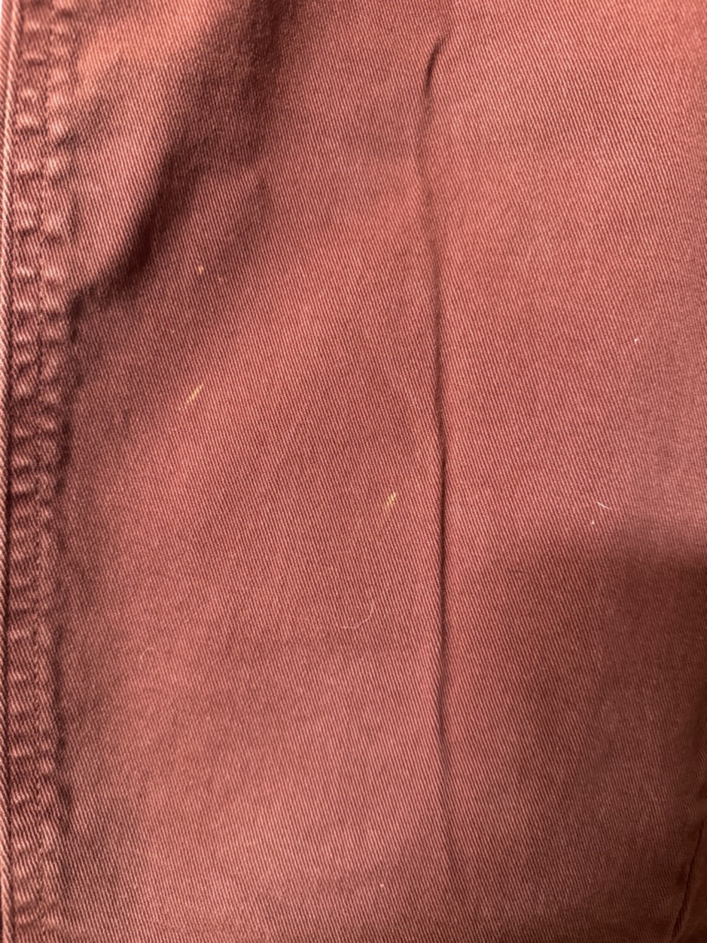 Everlane Rust Cotton Utility Barrel Pant - Picture 4 of 4